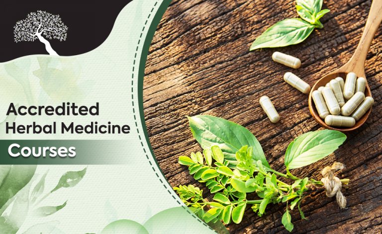 Read more about the article Impact of Herbal Medicine: Enrol In An Accredited Herbal Medicine Course