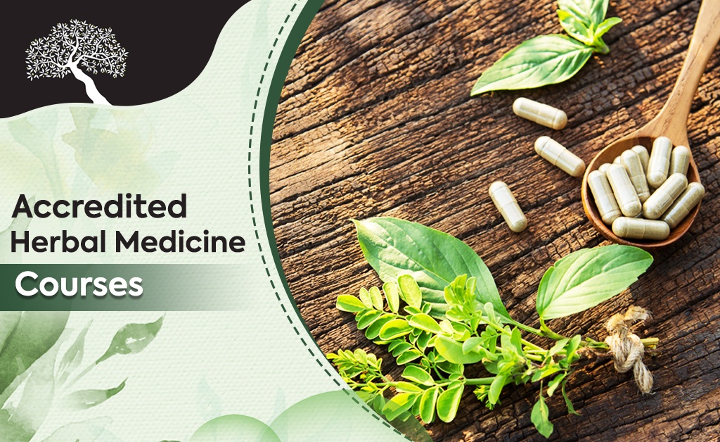 You are currently viewing Impact of Herbal Medicine: Enrol In An Accredited Herbal Medicine Course