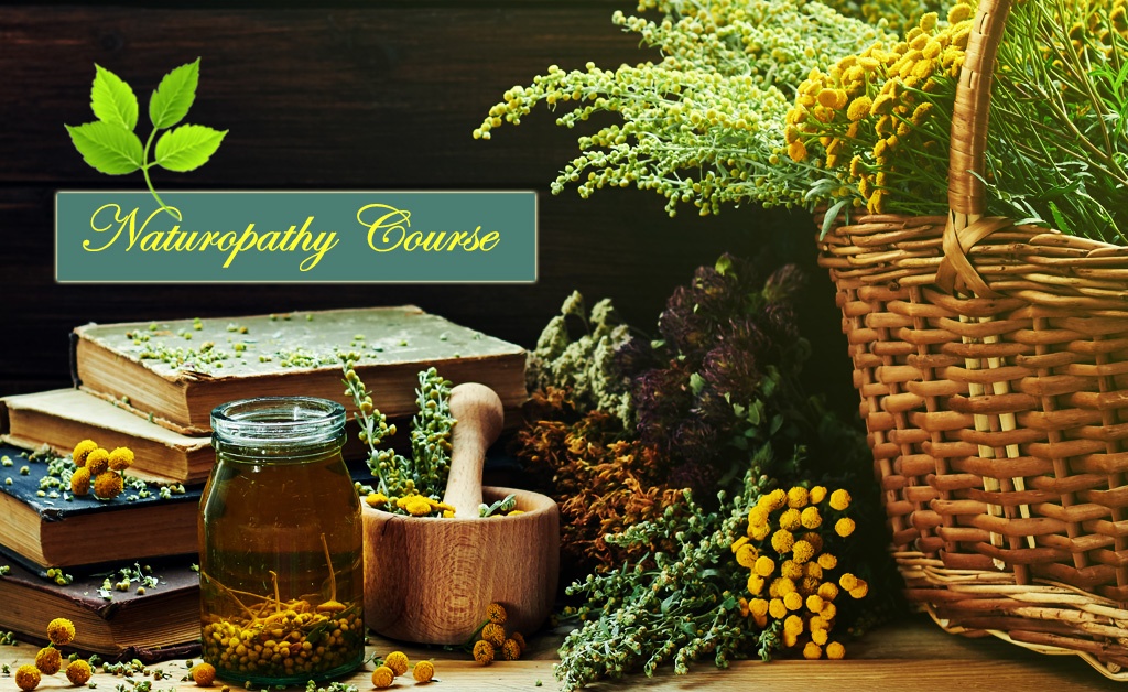 You are currently viewing Significance & Applicability Of Naturopathy Courses In The UK