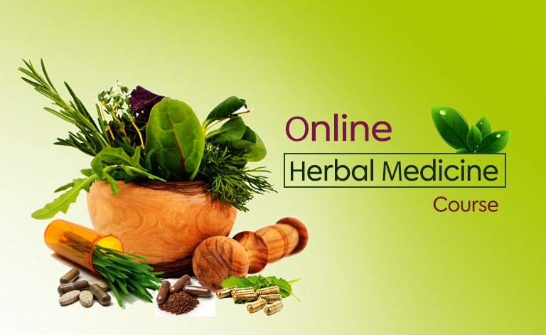 You are currently viewing A Beginner’s Guide on Herbal Medicine Career Opportunities