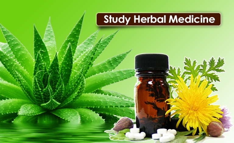 You are currently viewing Five Reasons to Study Herbal Medicine