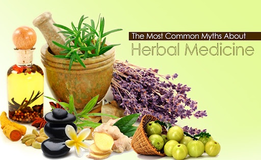 You are currently viewing Busting the Common Myths About Herbal Medicine