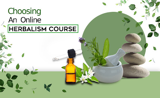 You are currently viewing Take Your Career to the Next Level with Herbalism Courses